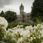 The University of Otago’s financial situation is far from rosy. Photo: Gerard O'Brien