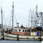 The fishing boat Aurora moored at Carey's Bay in 2009. Photo: ODT files  