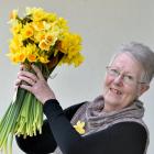 Cancer survivor Margie Mitchell, of Dunedin, prepares daffodils for the Cancer Society’s annual...