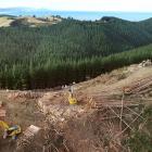 The scale of back-country land being bought for forestry and carbon farming is taking a toll on...