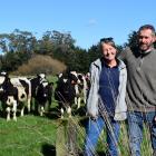 Meander Holsteins’ owners Robert and Annemarie Bruin, of Otautau, have had heifers selected for...
