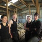 Shearers Catherine Mullooly, from left, Trevor Holland and Hannah McColl - teamed up with Eve...