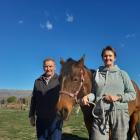 Settling in to her new home at the Dunstan Equestrian Centre is Central Otago Riding for the...