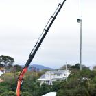 A lighting pole is removed from Culling Park in Dunedin yesterday after a rusted pole (below)...