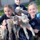 Year 4 pupils (from left) Tini Tirikatene-Nash, Julia van Reenen, Lexi Wynn enjoy a cuddle with...
