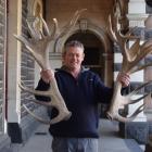 Southern Velvet Buyers owner Kelly Bennett displays a pair of hard antlers at Dunedin Railway...