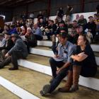 About 80 people attended the Balclutha Spring Cattle Sale last week. PHOTOS: SHAWN MCAVINUE