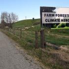 The Clutha District Council is calling for the removal of a New Zealand Farm Forestry Association...
