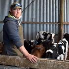 North Otago dairy farmer Geoff Colson is seeing results from DNA testing of calves. PHOTO: SHAWN...