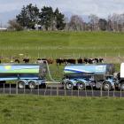 Fonterra said the strong result reflected the execution of its strategy, against a backdrop of...
