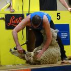 Tony Chamberlain took part in his 48th consecutive Waimate Shears event on Saturday. PHOTO: NIC...