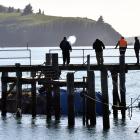 Otago Regional Council has removed 3300 litres of oily water from Carey’s Bay after Sandra Kay...