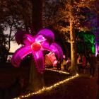Glow in the Park is shifting from the Tiwnald Domain to the Ashburton Domain next year. Photo:...