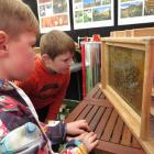 Macklin Hurley (left) and Alex Page check on honey bees in the president’s tent. PHOTOS: TONI...