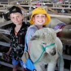 Everyone attending the South Otago A&P Show was a winner, including George Moffat, 8 (left), and...