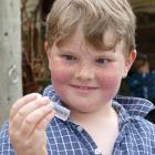 Jimmy Purvis, 8, of Lawrence, dreams of great riches as he inspects his gold-panning winnings at...