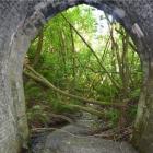 An entrance to the Round Hill Tunnel near Waitahuna in 2020, before work began on the Clutha Gold...
