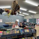 Cromwell Primary School teachers Sarah Luke (left) and Claire Lincoln planning the restocking of...