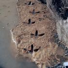 Moa footprints left in the Kyeburn River bed, which were discovered by Ranfurly man Michael...