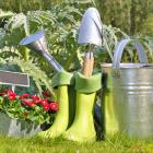 Give your garden plenty of water in spring. Photo: Getty Images 