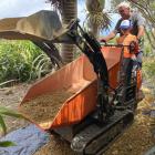 Gentle Annie Seaside Accommodation and Camping Ground worker Mike Wellington and the camp owner’s...