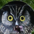 Bella Alderson, 10, of Dunedin, admires a native eagle owl, painted by Dunedin artist Bruce...