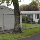 Flats in Thorn St, Caversham, are to be redeveloped by the Dunedin City Council. PHOTO: GERARD O...