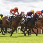 Kate Hercock guides Goodanya (outer) to victory in the $50,000 feature race at Wingatui yesterday...