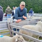 North Otago ram breeder Dave Robertson with some of his Rocket Rams during his sale last week....