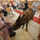 A donkey joins in the Cakes and Carols service at St Paul's.