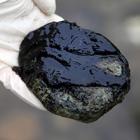 Toxic algae appears as thick dark brown or black mats that have a slimy or velvety texture and...