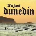 Surfing at sunrise at St Clair Beach is just one of Dunedin’s delights. A new marketing campaign...