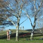 Signficance of Lismore Park as central reserve for the inner part of the growing town has...