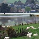 The Mataura river. PHOTO: ODT FILES