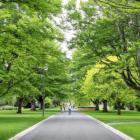 Trees will be planted in Queen's Park in accordance with the new King's wishes. Photo:...