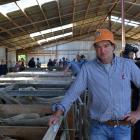 Merrydowns Romney and Southdown Stud owner Blair Robertson at his 15th annual on-farm ram sale in...