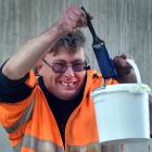 Dunedin man Stewart Henry has been a volunteer for Yellow-eyed Penguin Trust for 20 years. PHOTO:...