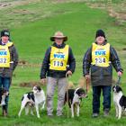 Omihi Collie Club's Fergus McLean, left, Ian Stevenson, centre, and Neil Evans over-excelled at...