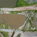 Bird monitoring this week has identified a large colony of rare black-billed gulls at the newly...