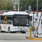 This electric bus will be one of 11 brought into service in Dunedin in the coming weeks. PHOTO:...