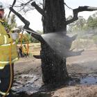 A Waikuku Beach volunteer firefighter continues to dampen down hotspots at Loburn following...