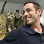 SPCA animal attendant Robbie Arnison with a family of kittens up for adoption at the Otago SPCA...