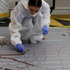 Jess Udy, 17, of Gore, tests for blood from a "gruesome" murder. 

