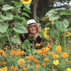 Author Jo McCarroll stands among sunflowers at Sanctuary Gardens Mahi Whenua, a community garden...