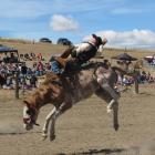Stuart de Ridder, of Hawarden, competes in the open bareback category at the Maniototo Rodeo...