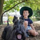 Clyde Primary School pupil Alasdair Roud, 5, with his Scottish terrier Hamish at Pet Day last...