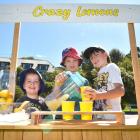 Young entrepreneurs (from left) George, 4, and Fletcher, 9, Humpries and Max Paton, 8, all of...
