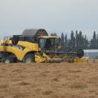 Higher fuel bills remain a concern for contractors despite the falling pump price for diesel....