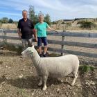 Amberley’s Wayne and Jenny Chisnall alongside the top-priced four-tooth ewe sold for $2050 to...