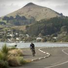 A cyclist rides along the Te Aka Ōtākou shared pathway on Otago Peninsula. PHOTO: ODT FILES